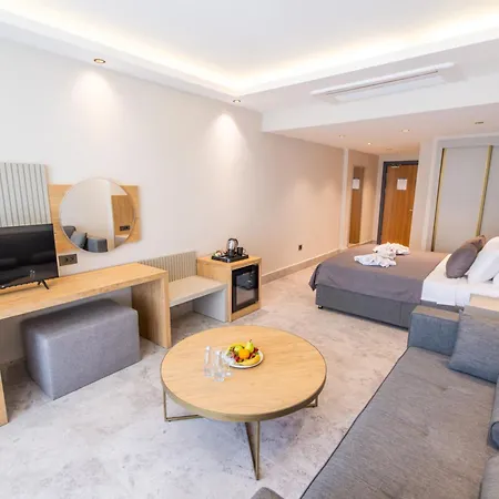 222 Hisaroenue * אולודניץ